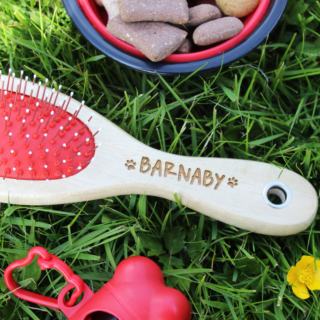 Personalised Double Sided Pet Brush